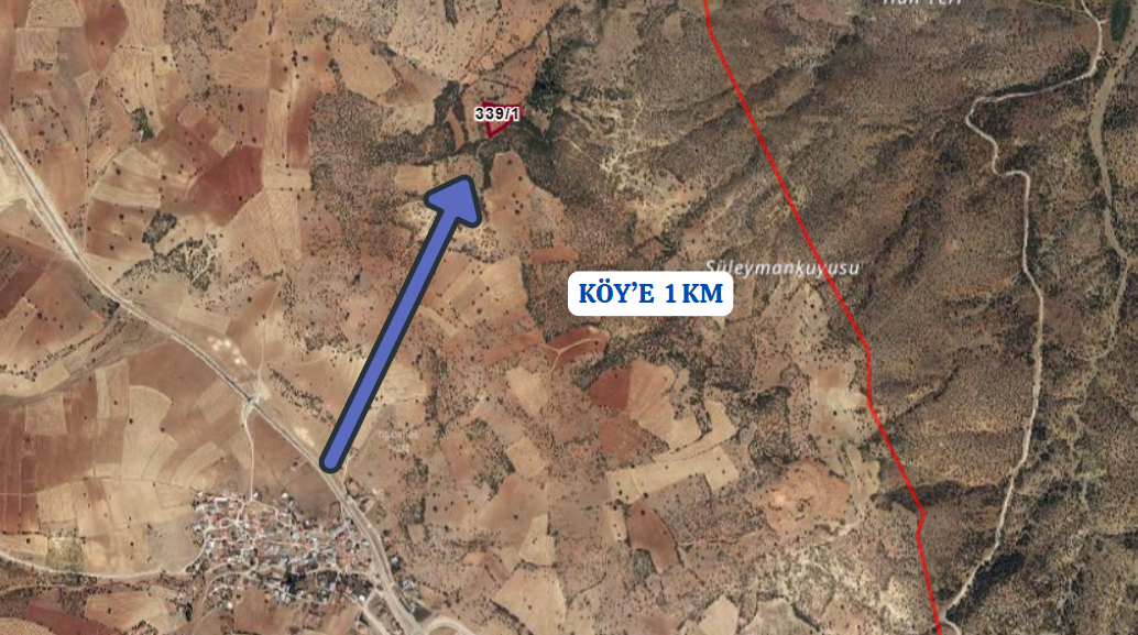 KONYA GÜNEYSINIR HABİLLER KÖYÜNDE 4.648 M² BAĞ SATILIKTIR - KONYA GÜNEYSINIR fotoğraf 4